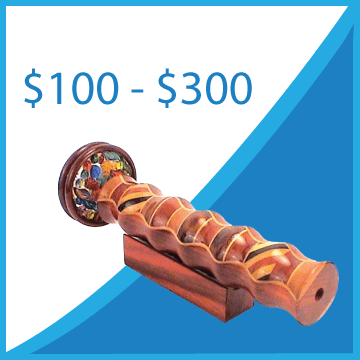 $100 to $300