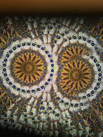 Handmade Wooden Kaleidoscope – Adult Kaleidoscope by Carol & Mark Reynolds | Handheld in Pomelle 2026