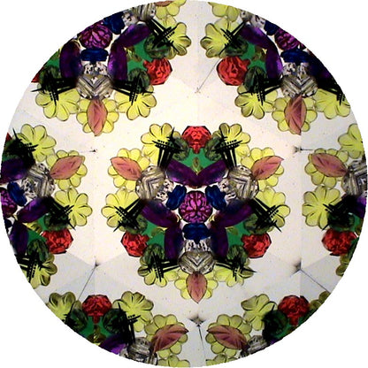 Image 4