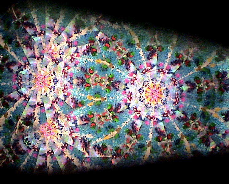 Image 4