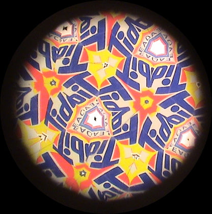 Image 5